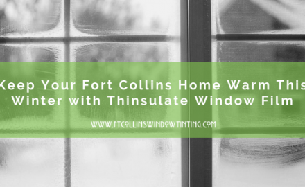 Home insulation with window film in Fort Collins