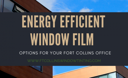 energy efficient window film fort collins office