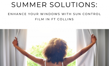 sun control window film fort collins
